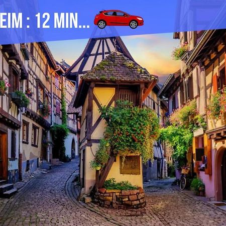 Le Blue St Leon : 2 Pieces Cozy Lit King Size Wifi Apartman Colmar Kültér fotó