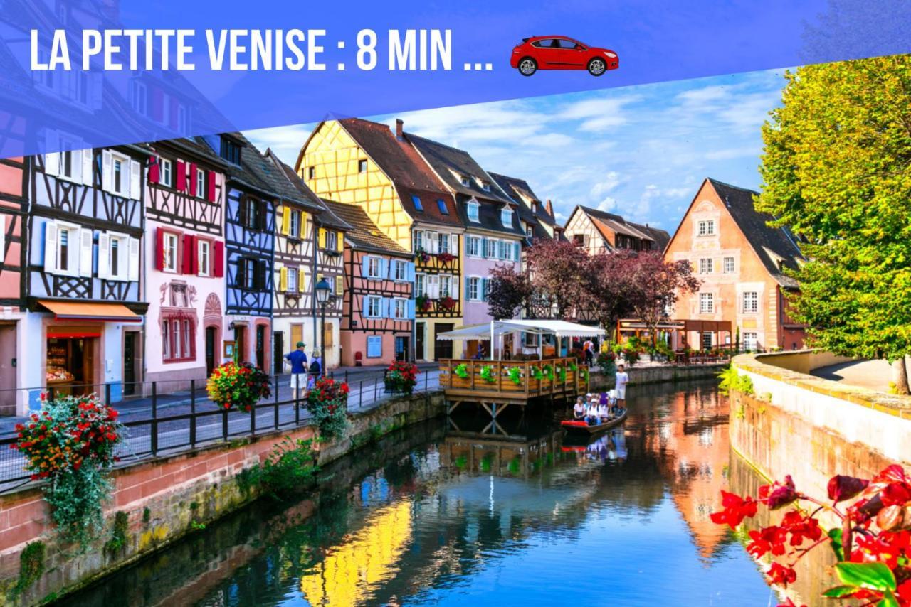 Le Blue St Leon : 2 Pieces Cozy Lit King Size Wifi Apartman Colmar Kültér fotó