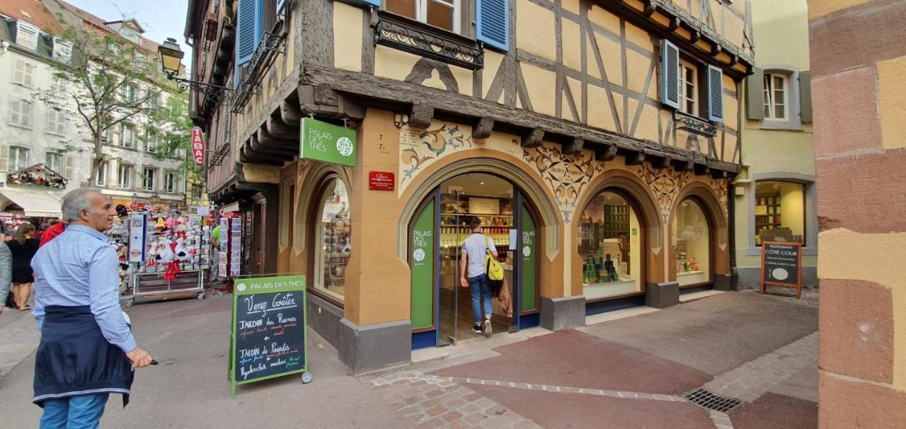 Le Blue St Leon : 2 Pieces Cozy Lit King Size Wifi Apartman Colmar Kültér fotó