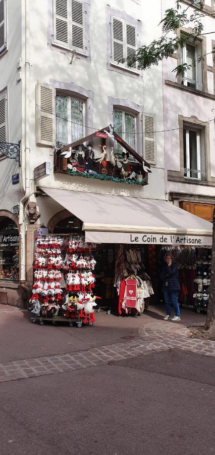 Le Blue St Leon : 2 Pieces Cozy Lit King Size Wifi Apartman Colmar Kültér fotó