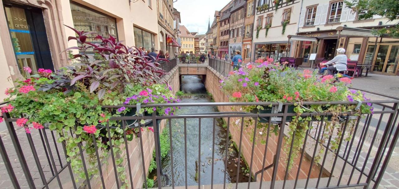 Le Blue St Leon : 2 Pieces Cozy Lit King Size Wifi Apartman Colmar Kültér fotó