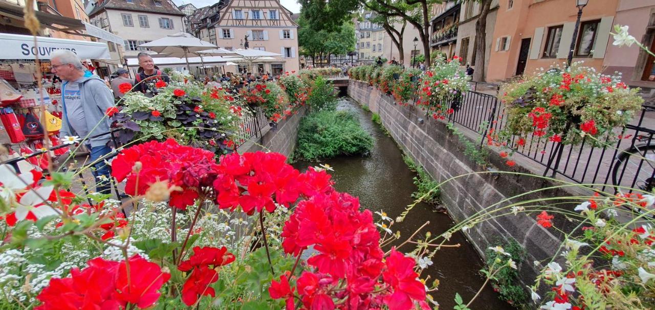 Le Blue St Leon : 2 Pieces Cozy Lit King Size Wifi Apartman Colmar Kültér fotó