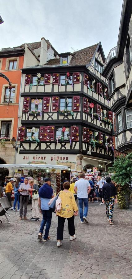 Le Blue St Leon : 2 Pieces Cozy Lit King Size Wifi Apartman Colmar Kültér fotó