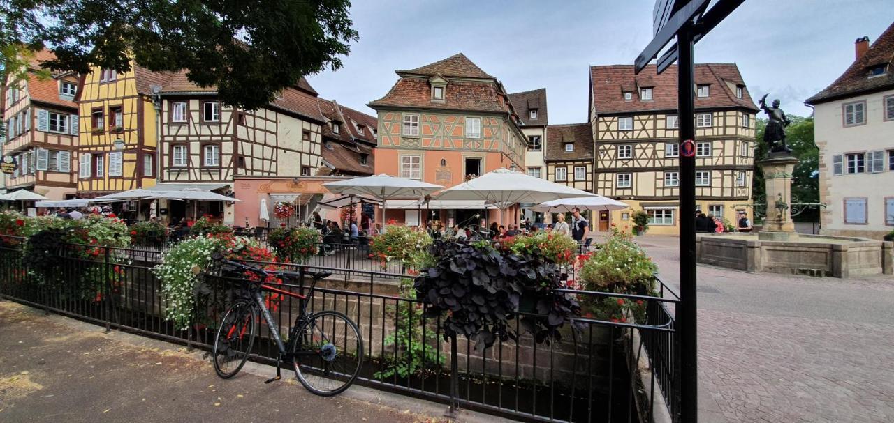Le Blue St Leon : 2 Pieces Cozy Lit King Size Wifi Apartman Colmar Kültér fotó